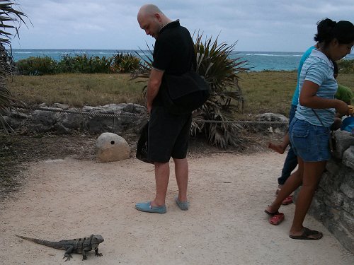 20130310_202842_iguana_ben.jpg