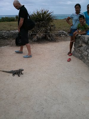 20130310_202855_iguana_ben_shoes.jpg