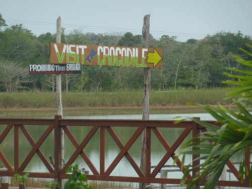 P1050978_visit_croc.JPG