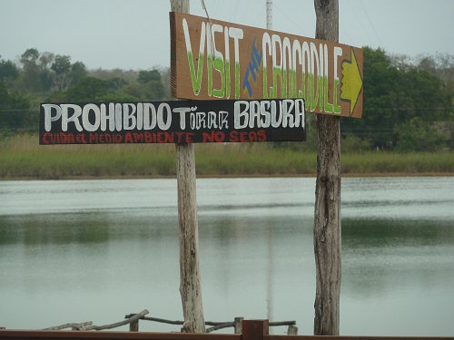 P1050979_visit_croc.JPG