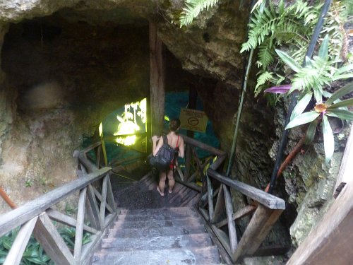 P1050995_cenote.JPG