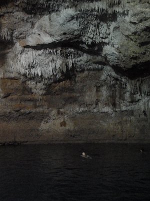 P1060013_ben_cenote.JPG