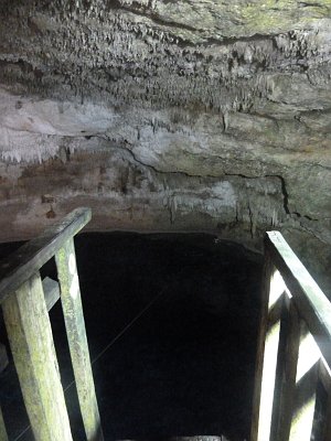 P1060021_cenote.JPG