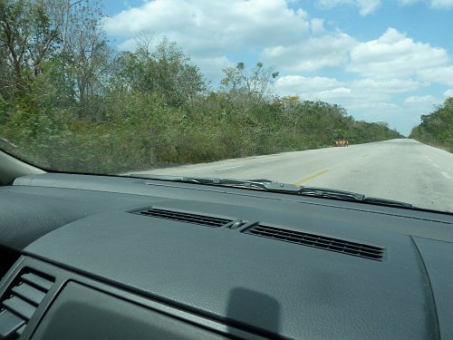 P1060193_straight_road_front.JPG