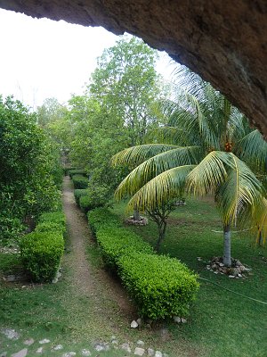 P1060245_garden_path.JPG